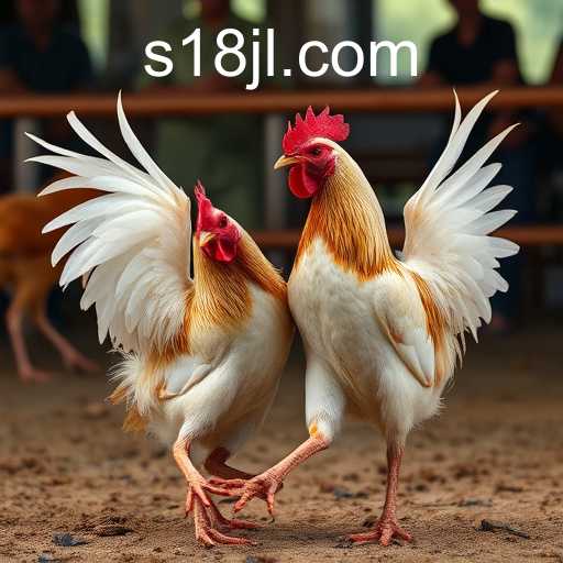 Exploring the Phenomenon of Online Sabong and the Role of 18jl